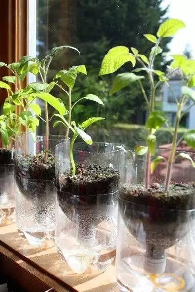 自制便攜收納盒,你家閑置的飲料瓶還能做這些？！