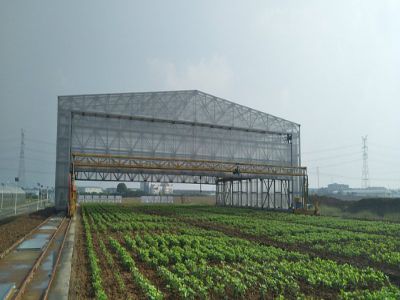 智能起重機為何越來越受到企業的青睞？
